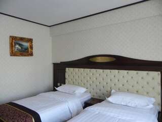 Отель Hestia Hotel Кэлэраши Двухместный номер с 2 отдельными кроватями-3